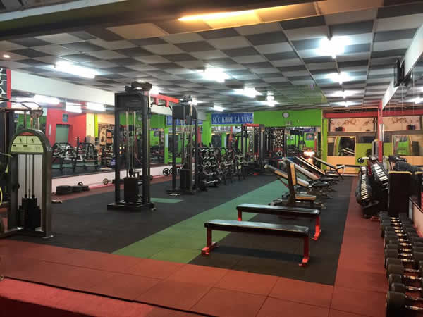 Thi công sàn cao su EPDM, giả gỗ, phòng gym tại TP Vinh Nghệ An